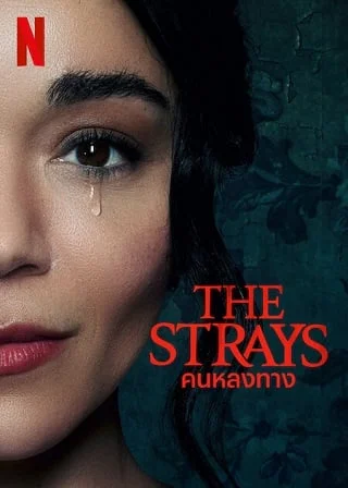 The Strays | Netflix (2023) คนหลงทาง