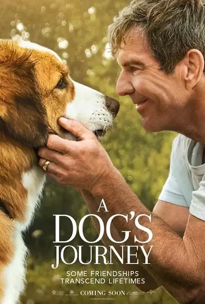 A Dog's Journey (2019) หมา เป้าหมาย และเด็กชายของผม 2