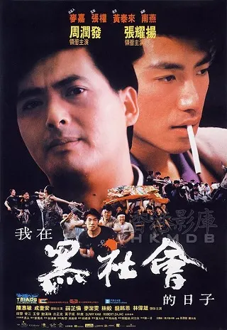 Triads The Inside Story (1989) โหดต้องโทษดวง