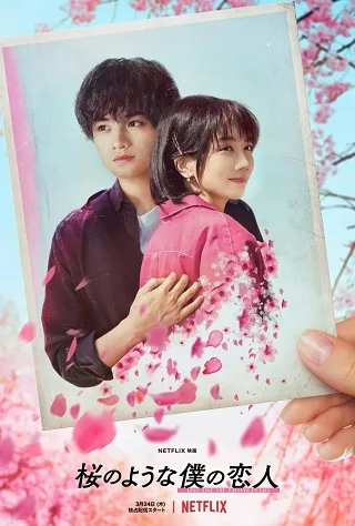 Love Like the Falling Petals | Netflix (2022) ใบไม้ผลิที่ไม่มีเธอเป็นซากุระ