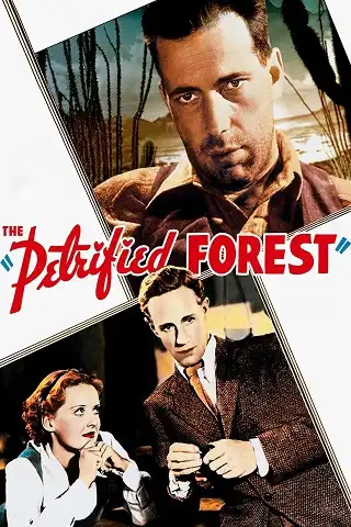 The Petrified Forest (1936) บรรยายไทย
