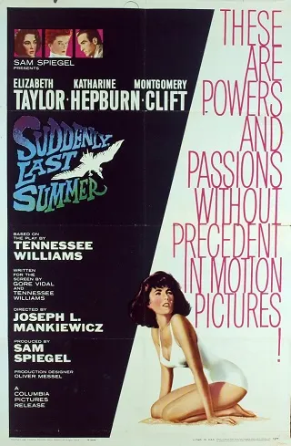 Suddenly Last Summer (1959) บรรยายไทย