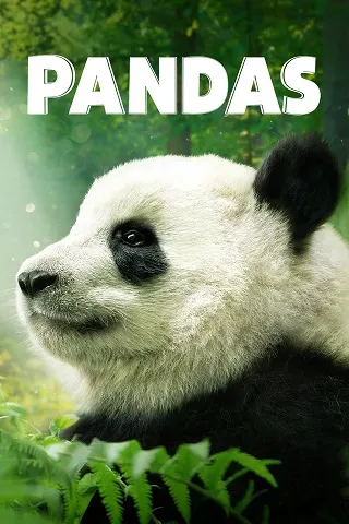 Pandas (2018) แพนด้ายักษ์