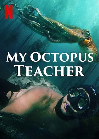 My Octopus Teacher | Netflix (2020) บทเรียนจากปลาหมึก