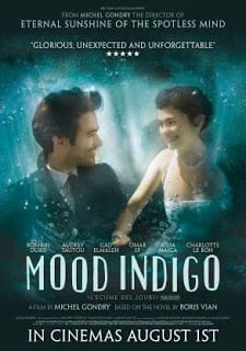 Mood Indigo (2013) รักนี้มหัศจรรย์