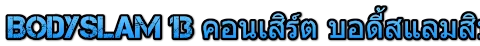 Bodyslam 13 คอนเสิร์ต บอดี้สแลมสิบสาม
